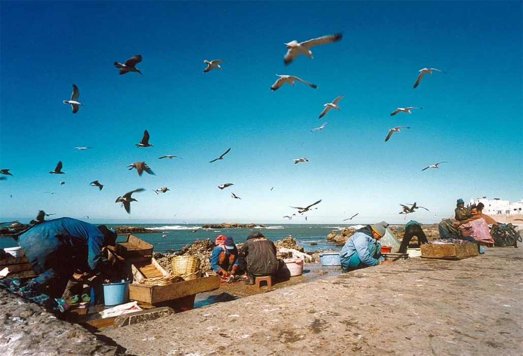 essaouira-fishermen-port-1030x701 9 DAY BERBER VILLAGES AND MERZOUGA DESERT TOUR